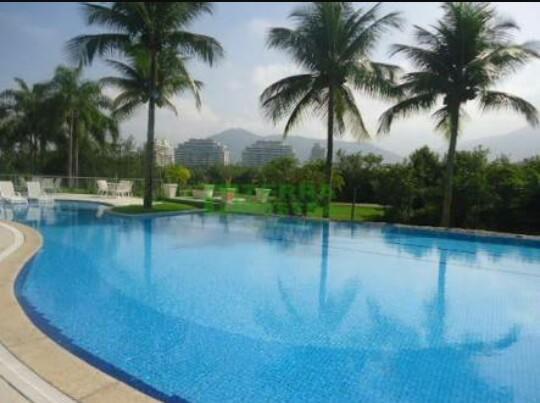 Charme Na Barra Da Tijuca Apartamento